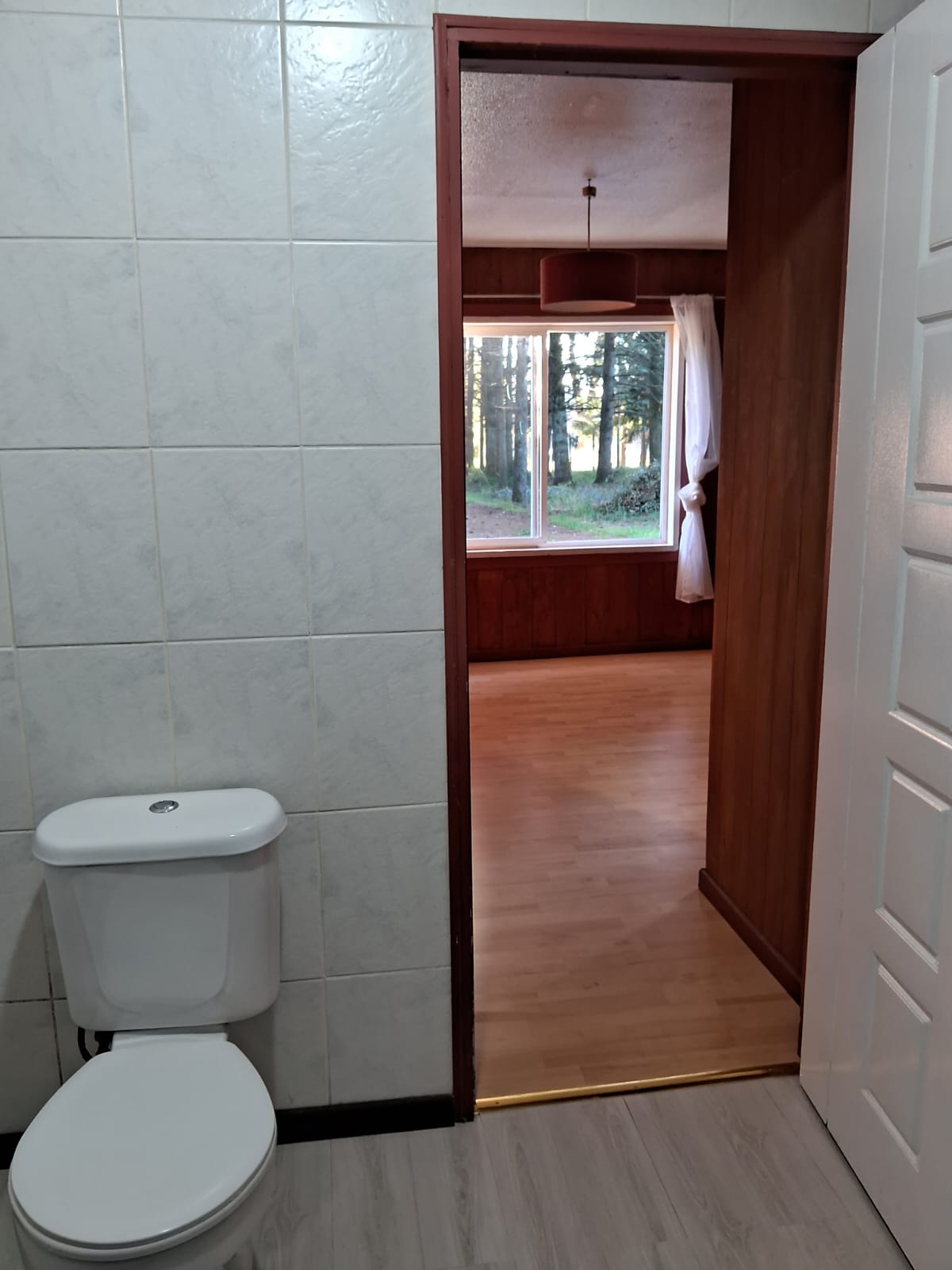 319d3e60-2314-487e-b470-2bcec202b51c