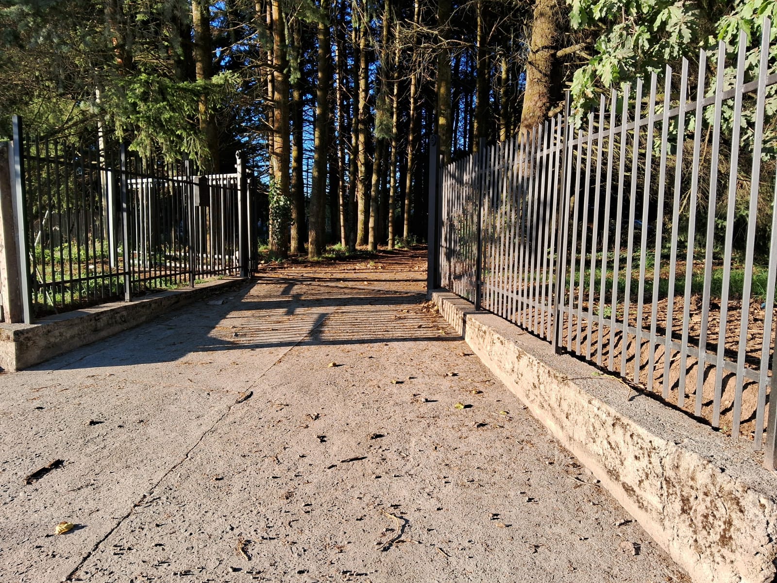 4b339cd0-0531-4778-810e-8a9c13c9f9e3