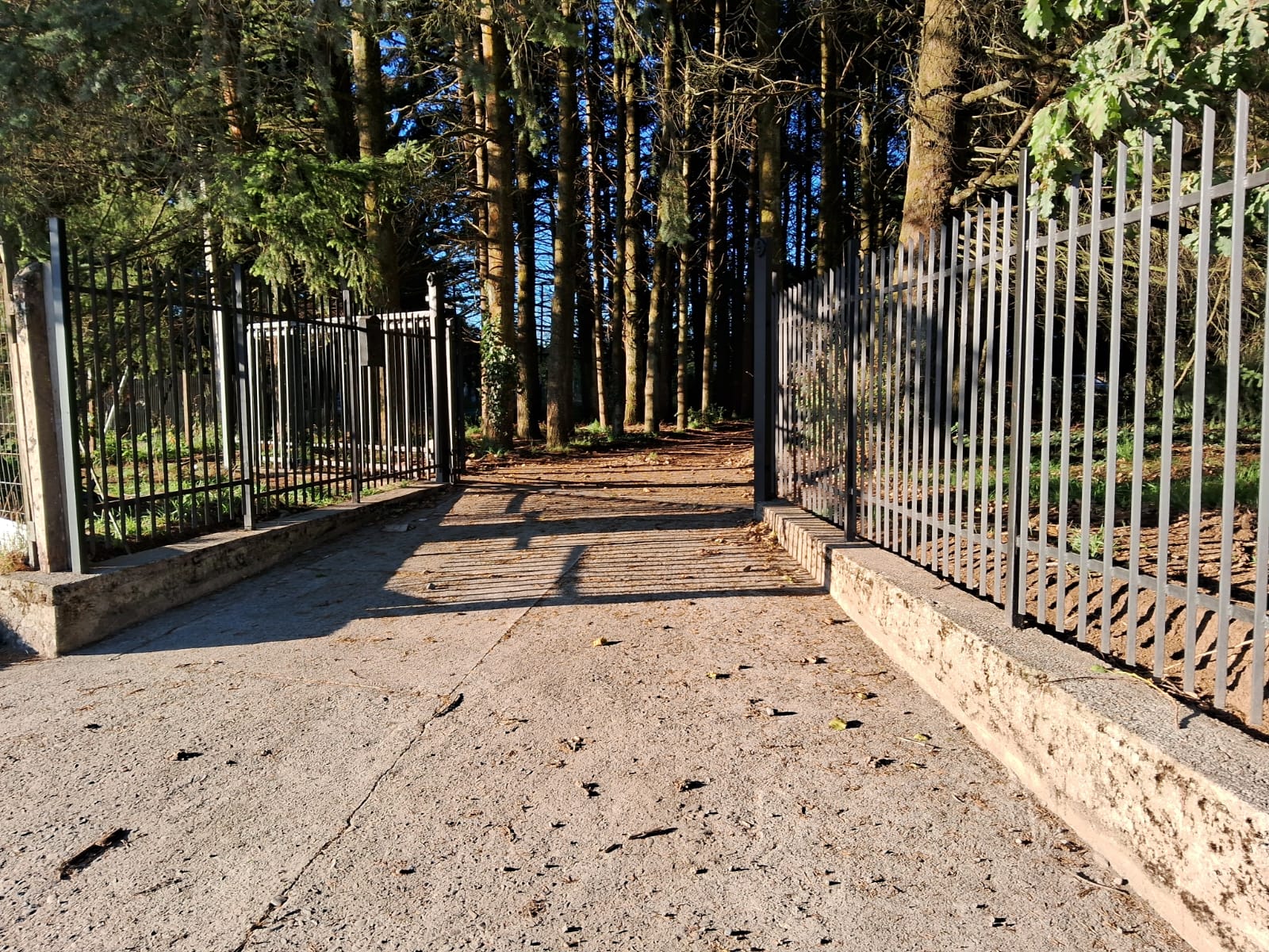 669559c1-cd33-4ba2-af7d-ee594f365d23