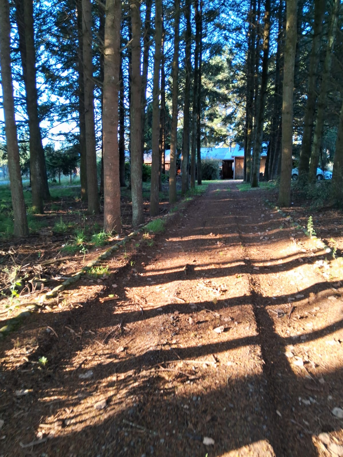 74a37188-042f-44e3-ba2d-e19c8284d6ae