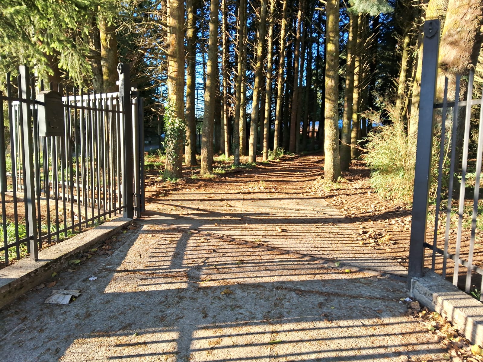 933db9c6-e1b2-4d74-a946-c381b18fe7fe