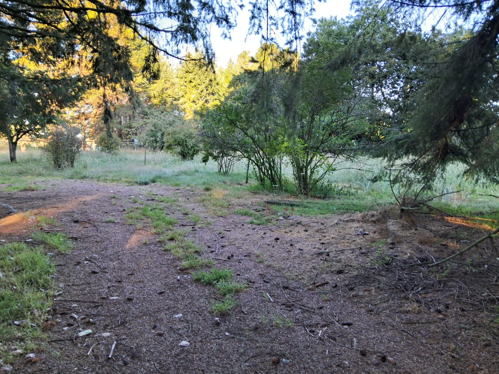 bdf2de92-df0d-41fa-beea-d2633b2b7b06