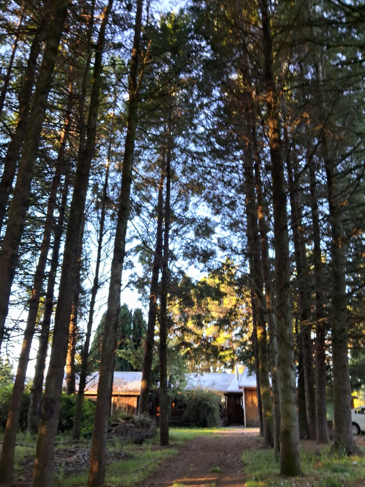 da8724cd-5653-4d8d-89e0-3e1c2a1ebc4c