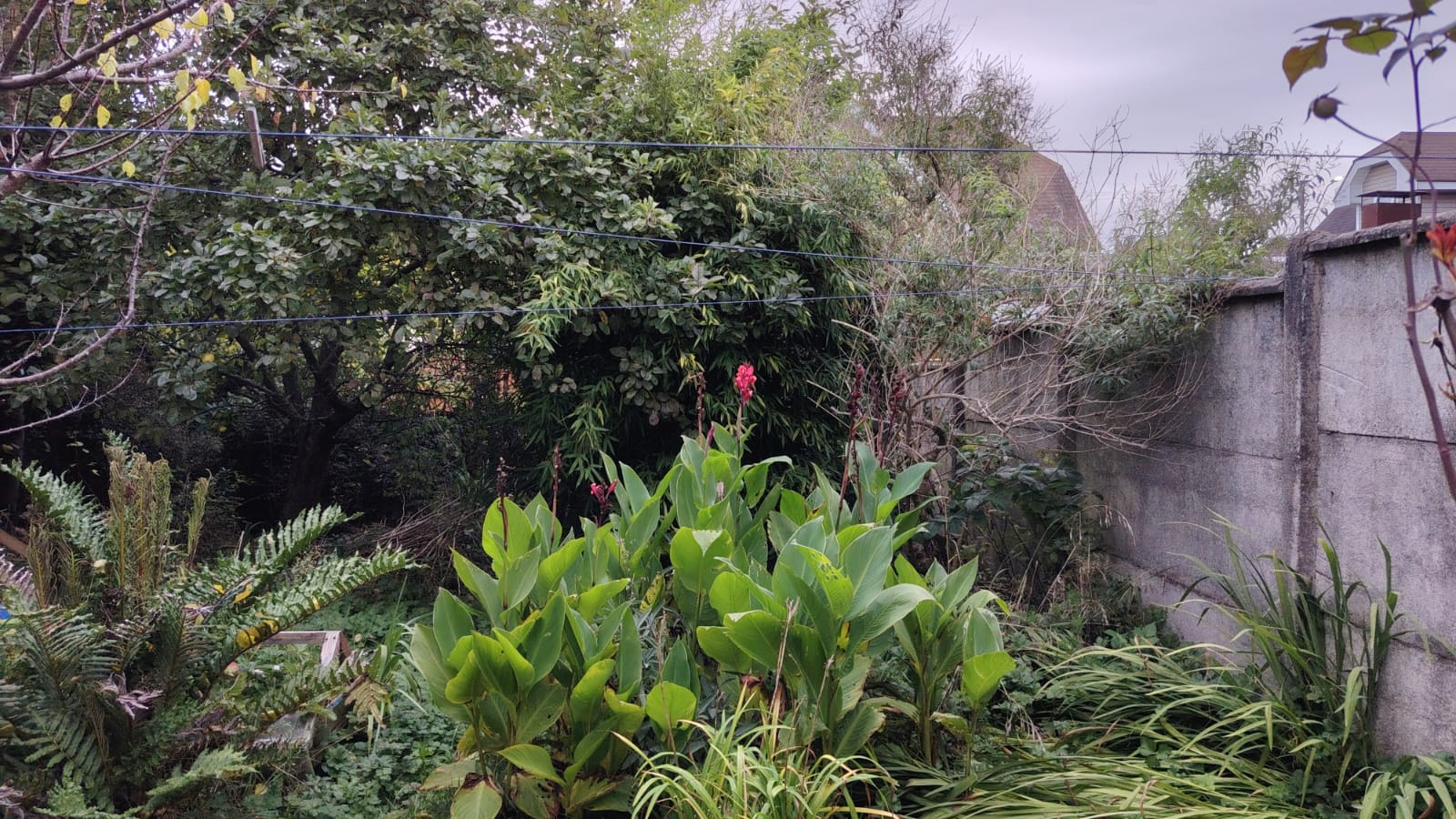 10199be4-95dc-47f8-917c-ab9af369059b