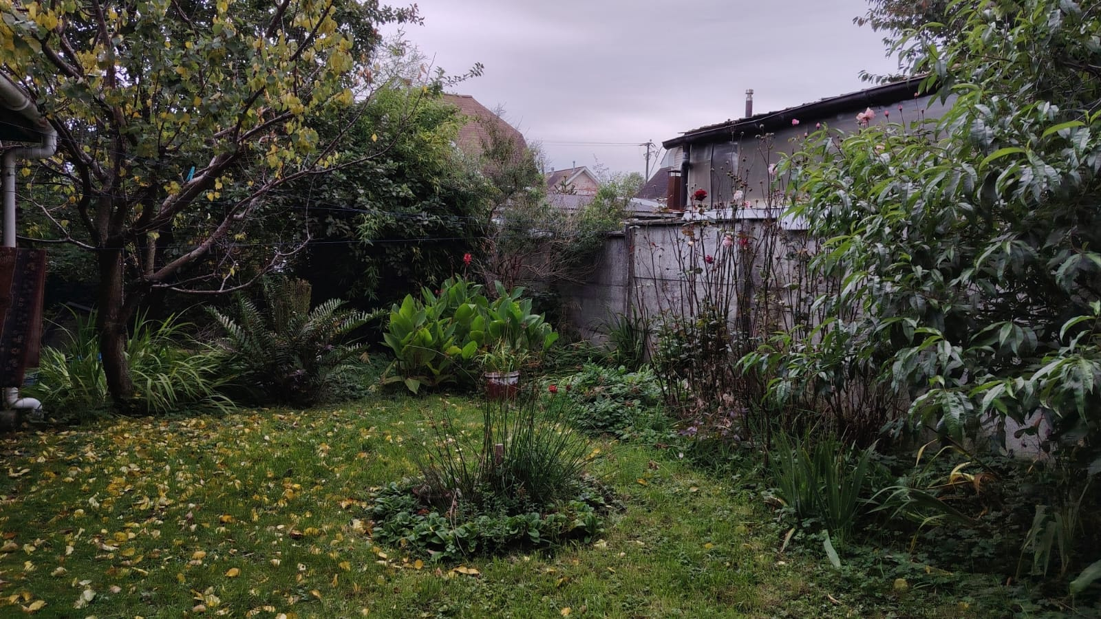 34bbc2b9-d9cc-46bf-9108-193bd114a3dd