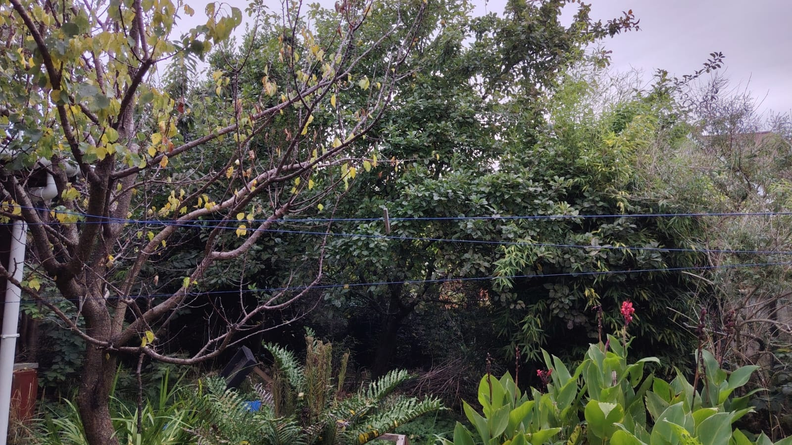 67a2d724-51bb-4b92-9f8a-9dd5a4e93bfd