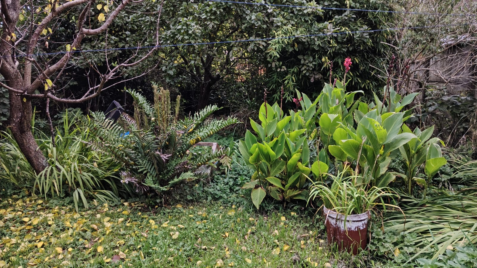 a2e1bd00-29c9-4a24-b01f-6ba18ad854f0