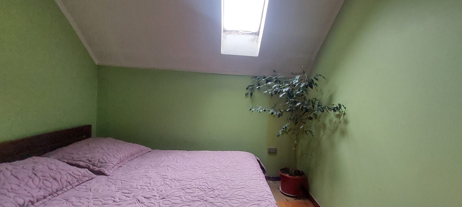 Foto 18